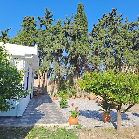 Deja Blue Villa Arhángelosz Kültér fotó